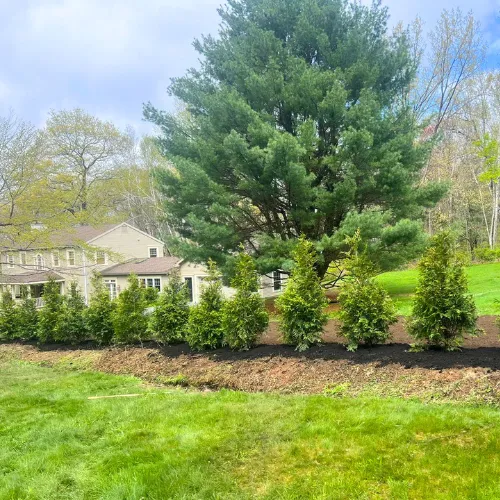 work photo from gnltreeservices.com