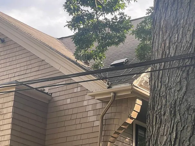 Roofing and Carpentry Services in Cambridge, MA