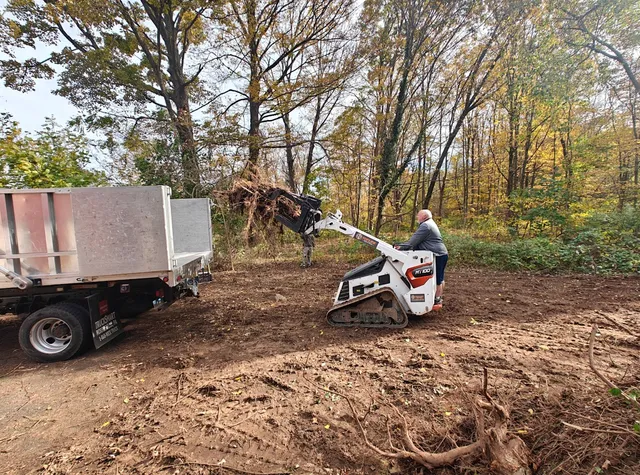American Junk Removal, LLC work photo