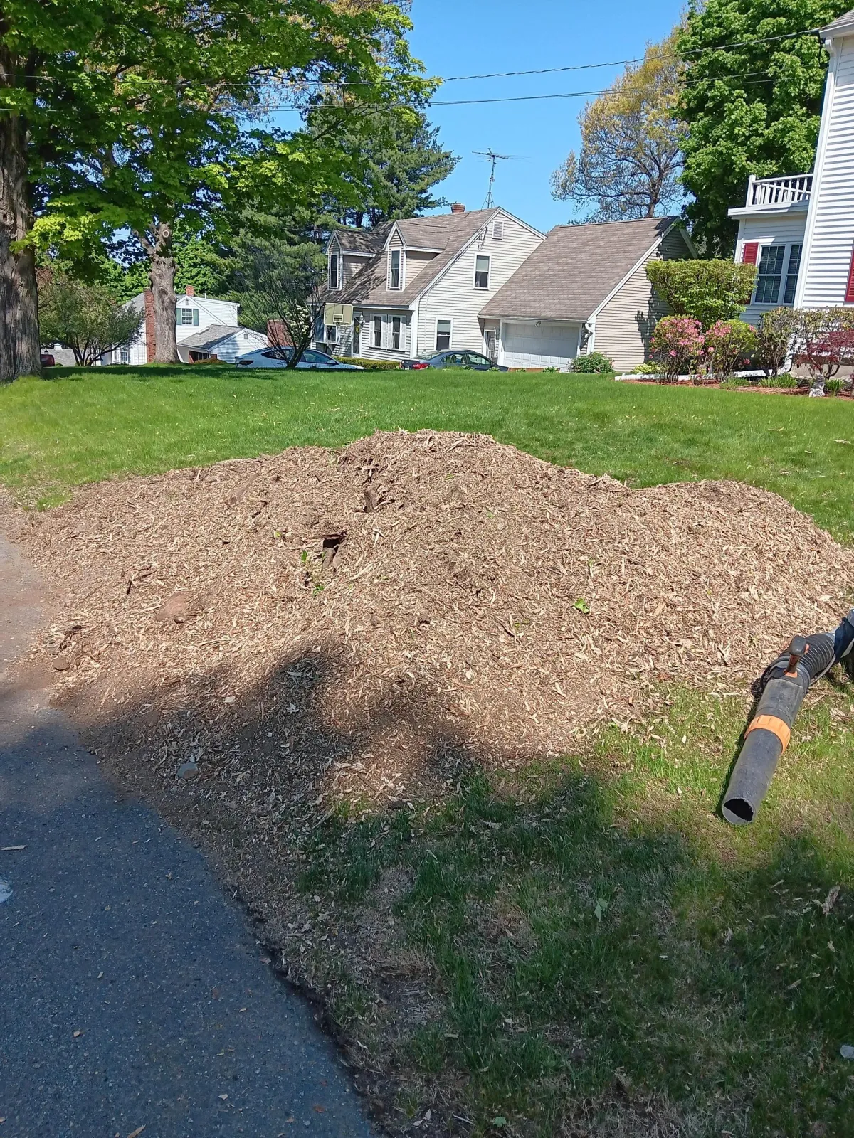 work photo from bigbeaverstumpgrinding.com