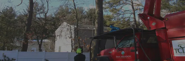 Dreaming of a new landscape?
We make your dreams become a reality