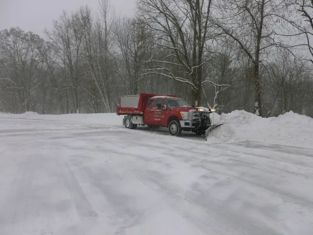 work photo from langonebros.com
