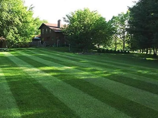 work photo from nrilandscaping.com