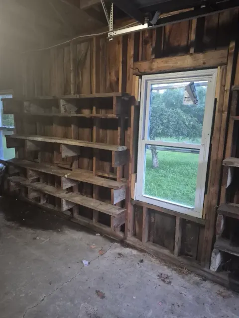 Cleared garage wall with open shelving after a cleanout