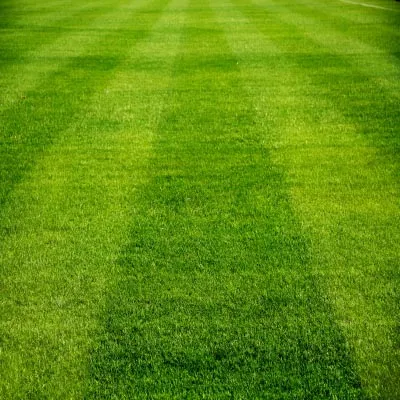work photo from palandjianlandscaping.com