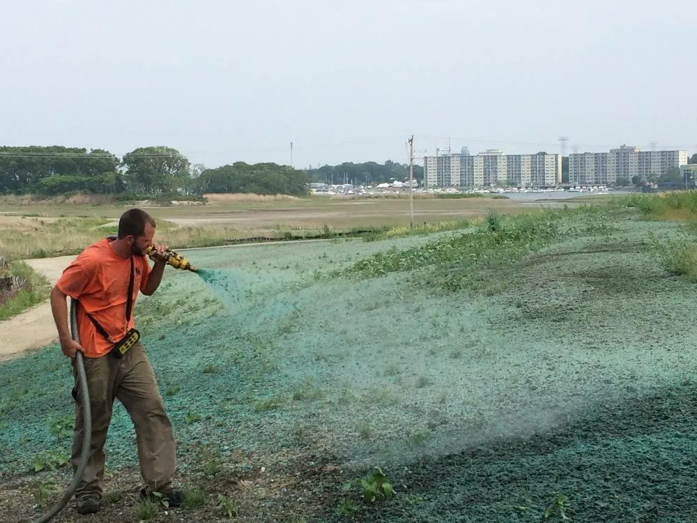 work photo from guaranteedseed.com