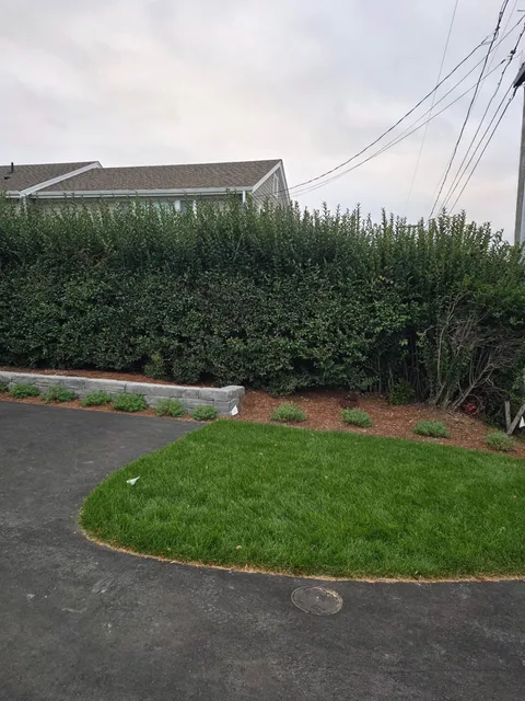 Green lawn and shrubbery border a driveway. A house and power lines are in the background.
