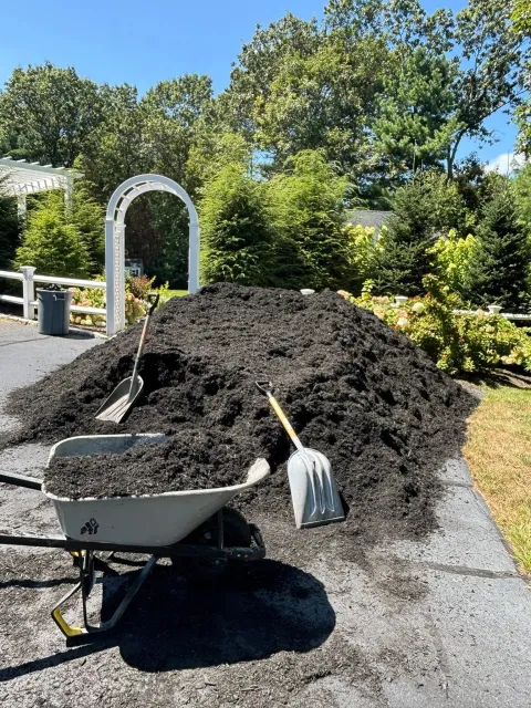 Backyard Landscaping