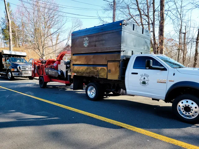 Big Wood Tree Service work photo