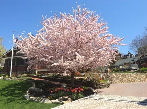 work photo from conquestlandscaping.net