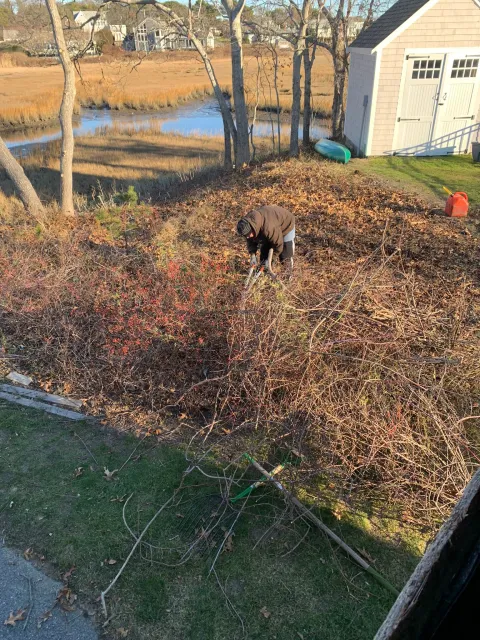 M&N Lawn Care INC researched project photo