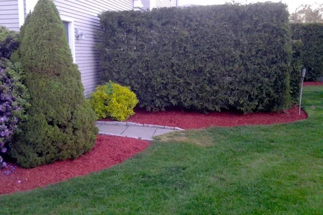 Lawn & Garden Care