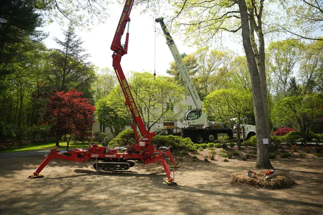 work photo from allscapestreeri.com