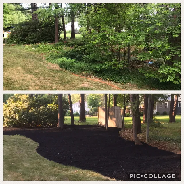 T-Moore Landscaping work photo