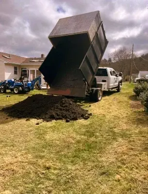 CM Tree Service LLC gallery picture