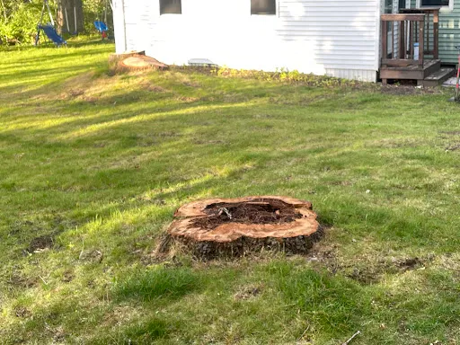 Precision Tree and Landscape, LLC work photo