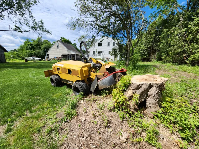 work photo from pioneerstump.com