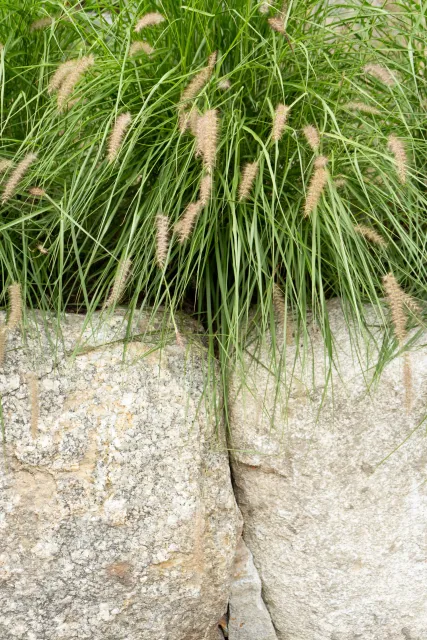 Emma Kelly Landscape work photo