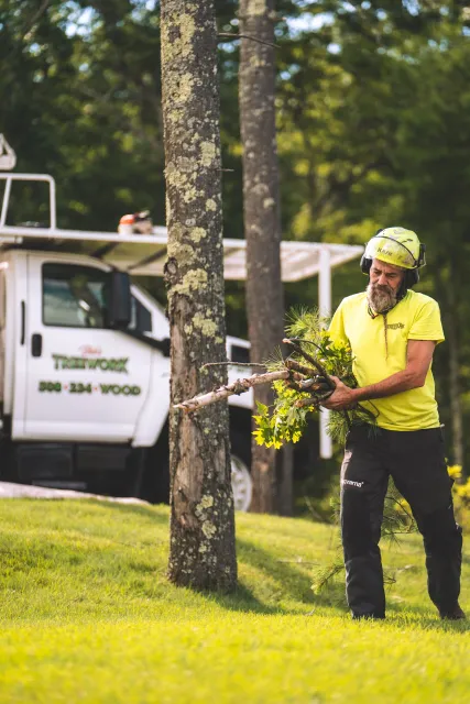 A man wearing a neon yellow shirt and black pants is cutting a tree branch with a chainsaw, standing on a grassy lawn with trees in the background. A white truck labeled 'TreeWork' is parked nearby.
