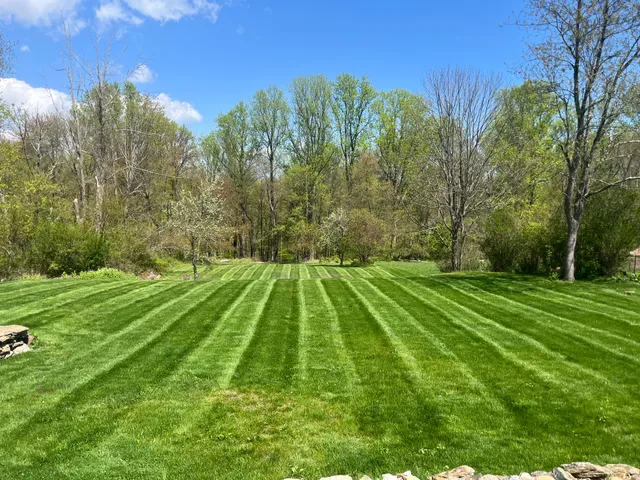 Ca Landscaping Llc work photo