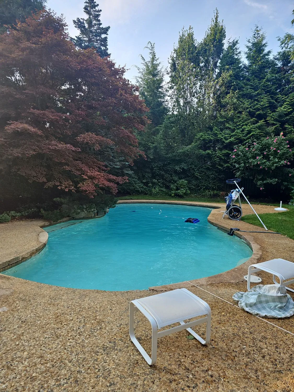 Blue Max Pool Service Inc.