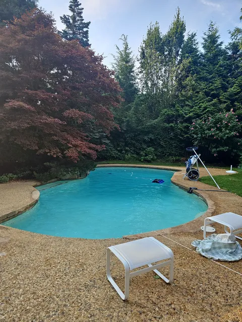 Blue Max Pool Service Inc.