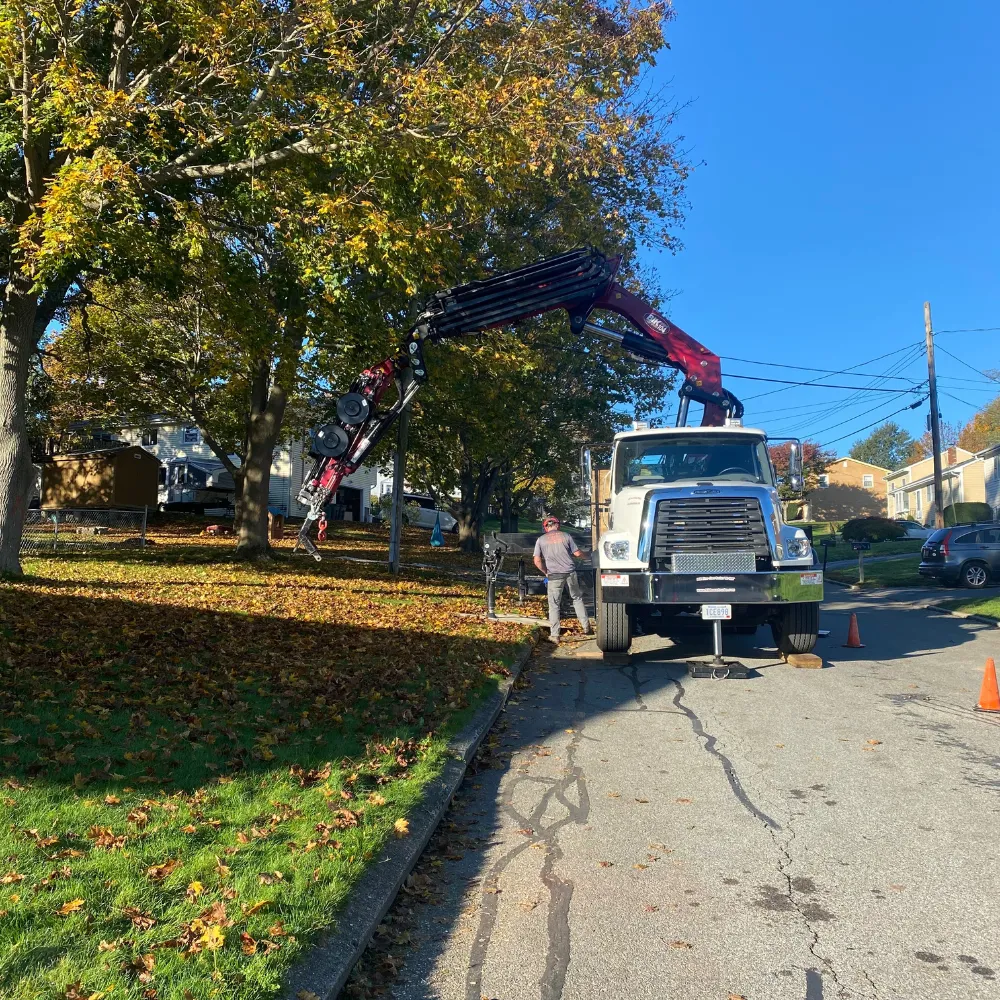 crane trims a tree