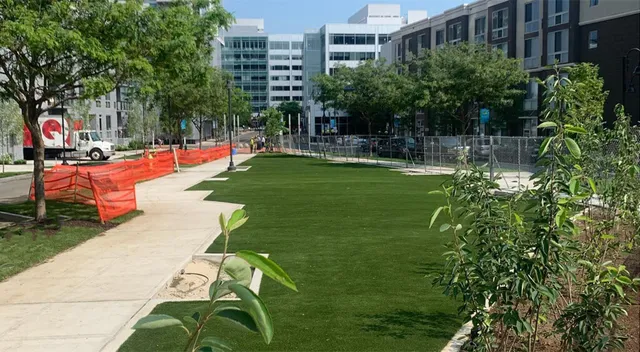 City Park Synthetic Grass