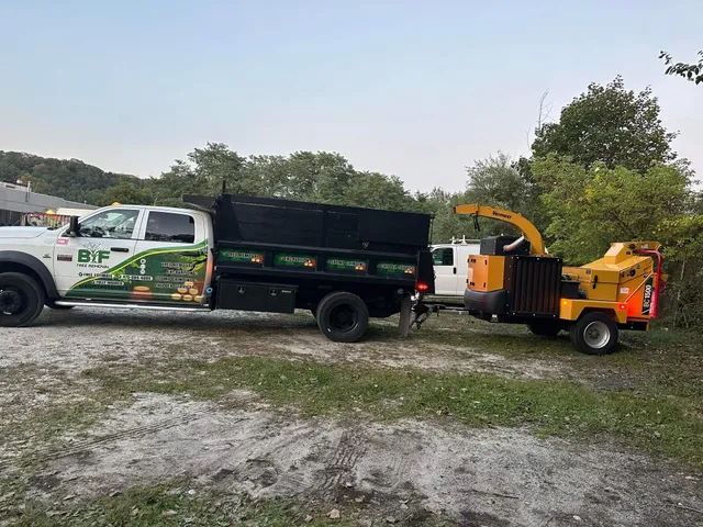 BF Tree Removal Experts llc work photo