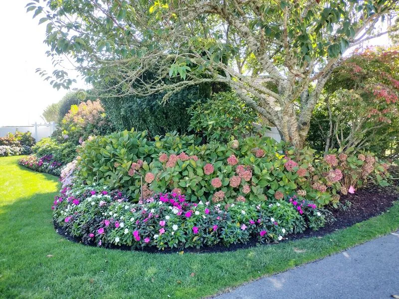 work photo from pinetreenursery.com