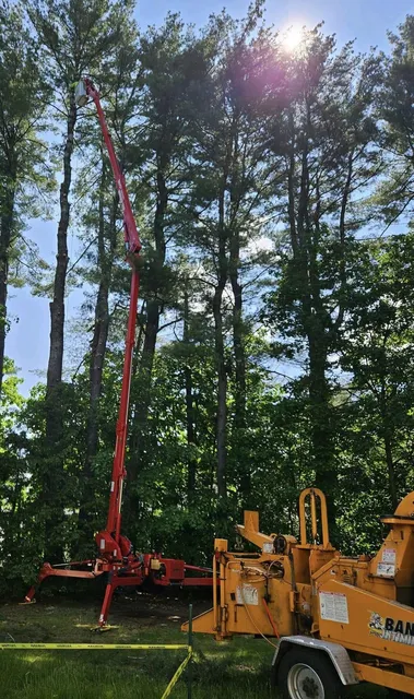 work photo from morrisontreelandscape.com