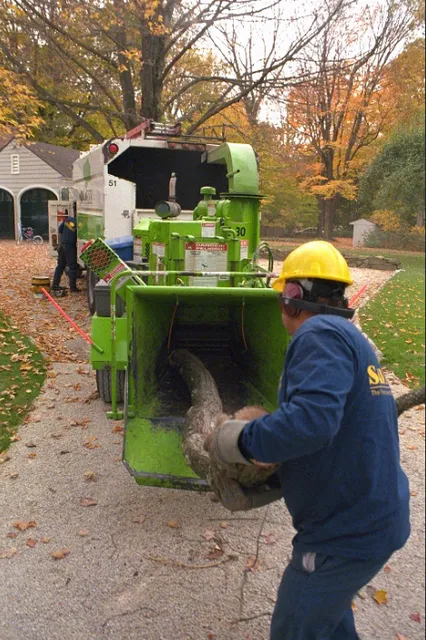 SavATree work photo
