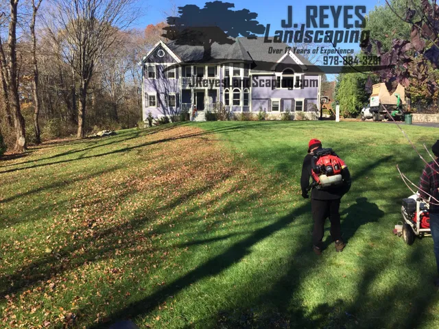 J. Reyes Landscaping researched project photo