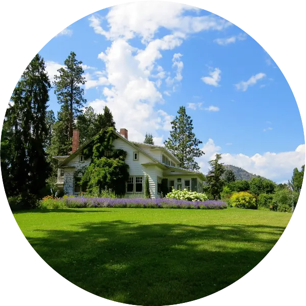 Lawn Landscaping