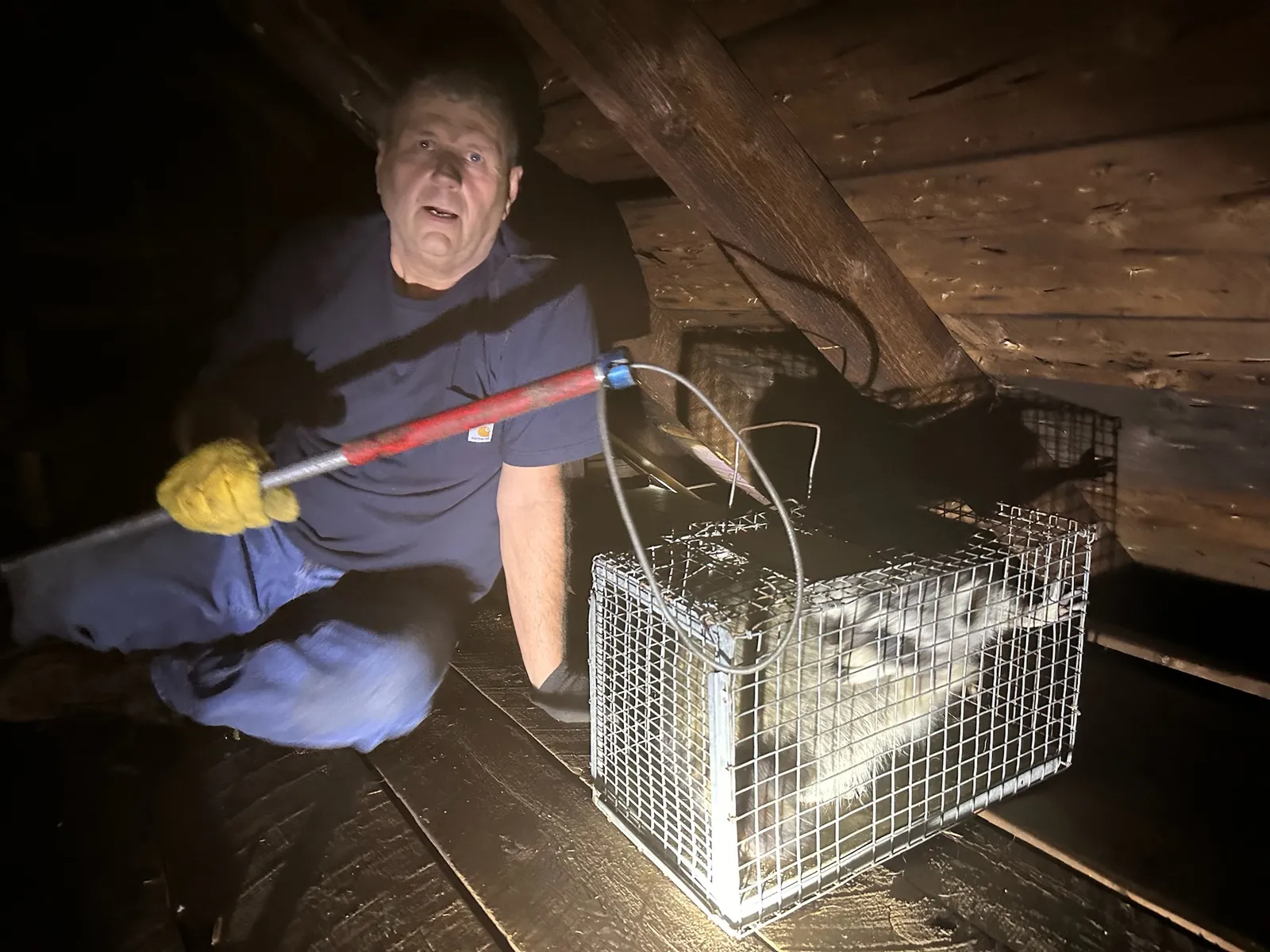 work photo from Google listing