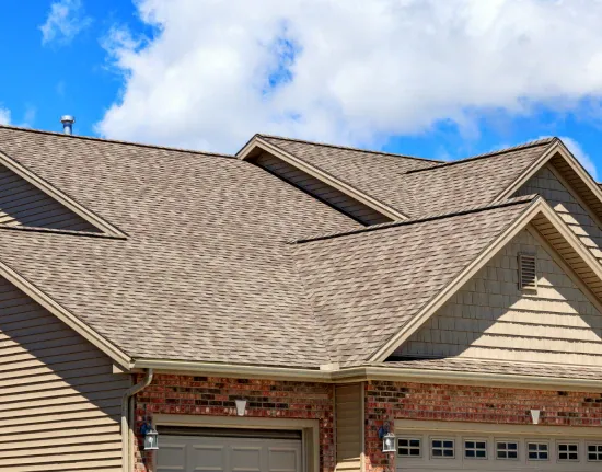 Zoe Roofing b