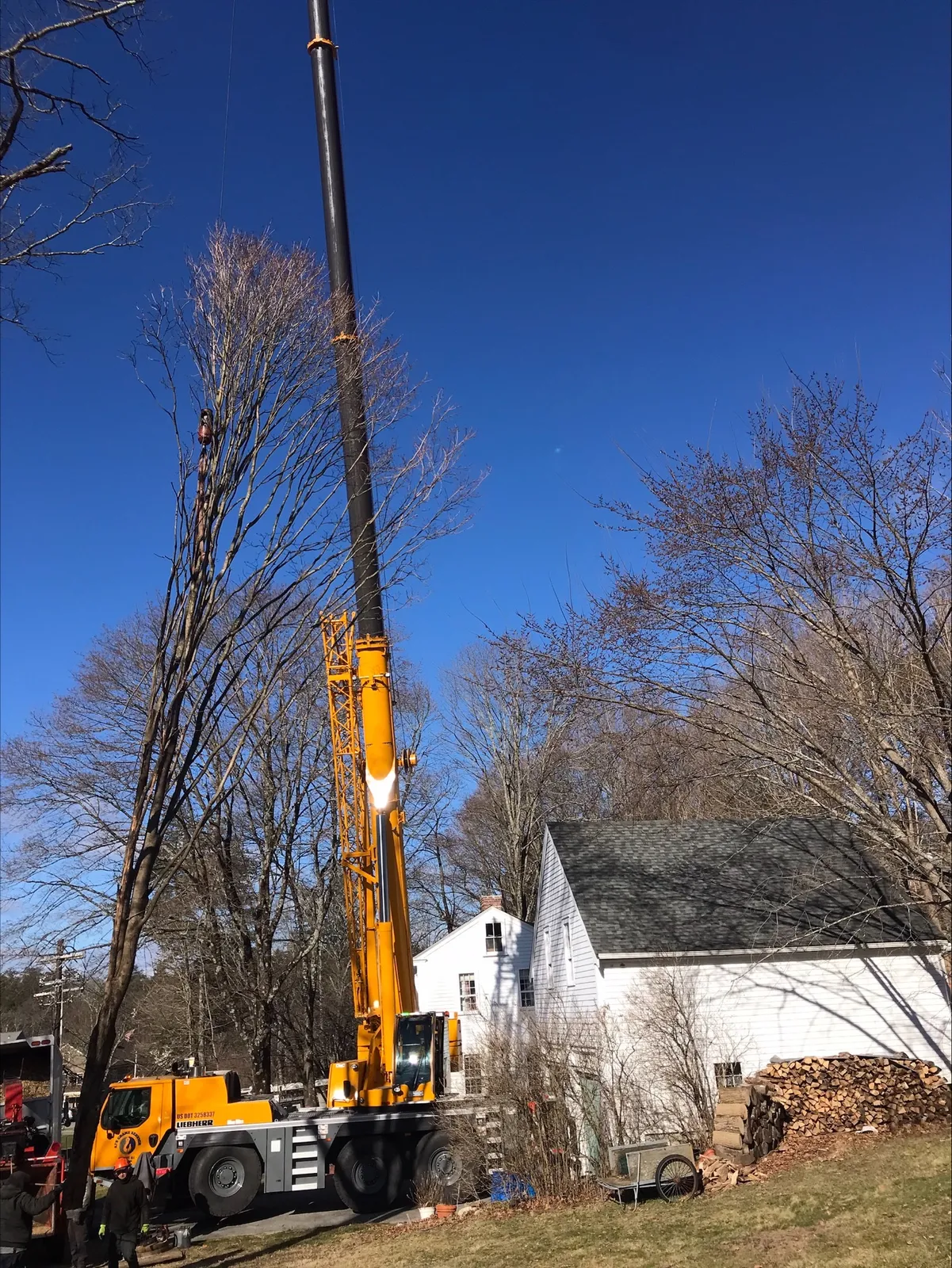 Rustys Tree Service researched project photo