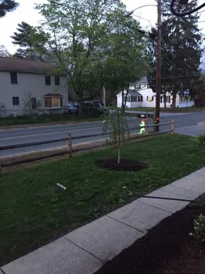 Solomon Landscaping researched project photo