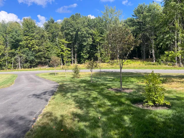 Mulch beds, trees, plantings, garden
