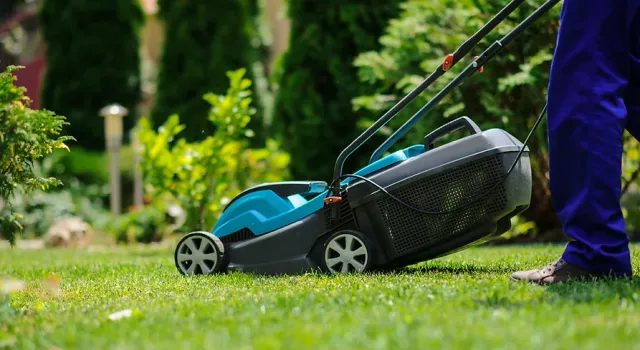 Lawn Mower