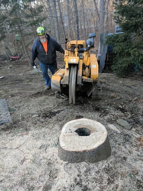 work photo from akandsontree.com