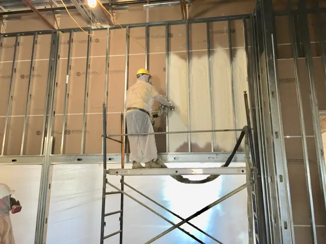 Spray Foam Art LLC work photo