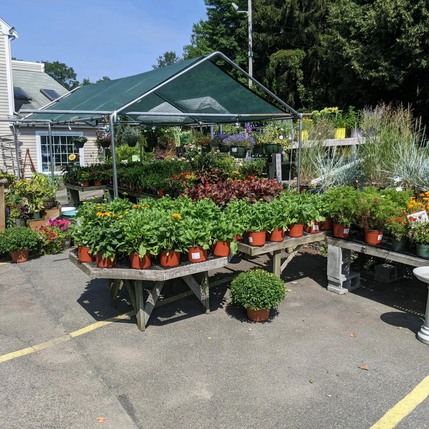 JMF Landscaping, Garden Center & Nursery
