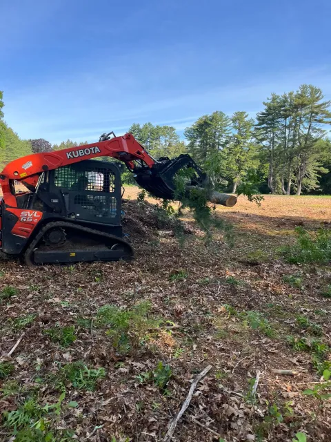 work photo from palmertreeservice.com