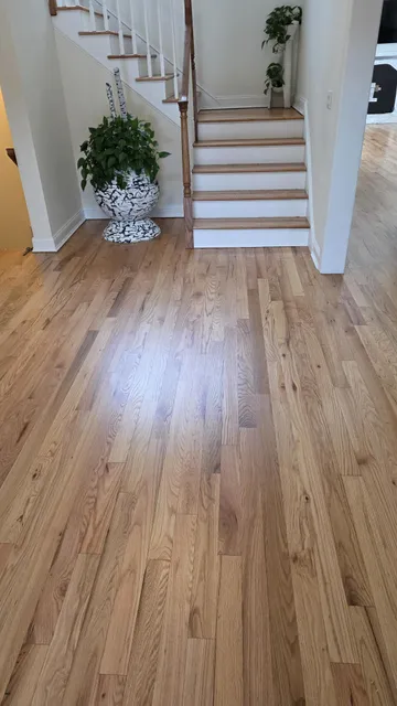 Cupping on your hardwood floors? Don’t worry — it can be fixed.

This project had noticeable floor cupping, so we performed cross sanding to properly level the boards before refinishing.

The final process included:

✔️ Full sand & refinishing
✔️ Natural color finish
✔️ 3 coats of oil-based polyurethane

The result? Smooth, beautiful hardwood floors that look brand new.

Trust LM Wood Floors to bring your floors back to life.

📩 DM us for a FREE estimate. #LMWoodFloors #HardwoodRepair #FloorRefinishing #CuppedFloorsFix #CrossSanding