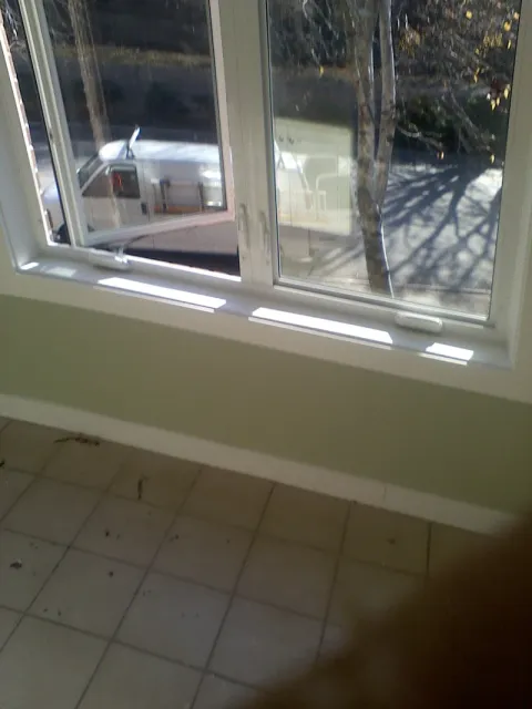 Double Casement Window Accent