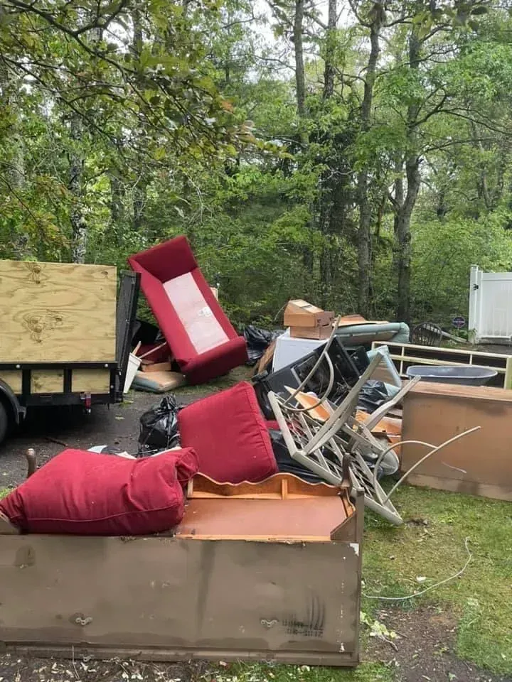 Brush Removal New Bedford