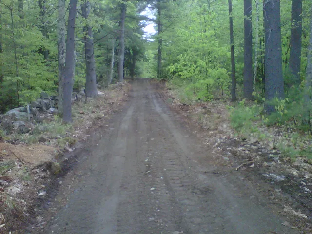 work photo from gallaghertreeandlandscape.com