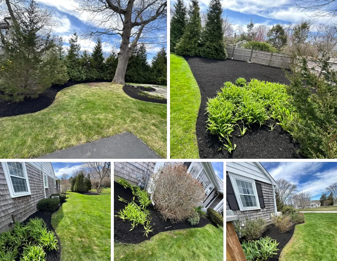 The Grass Guy