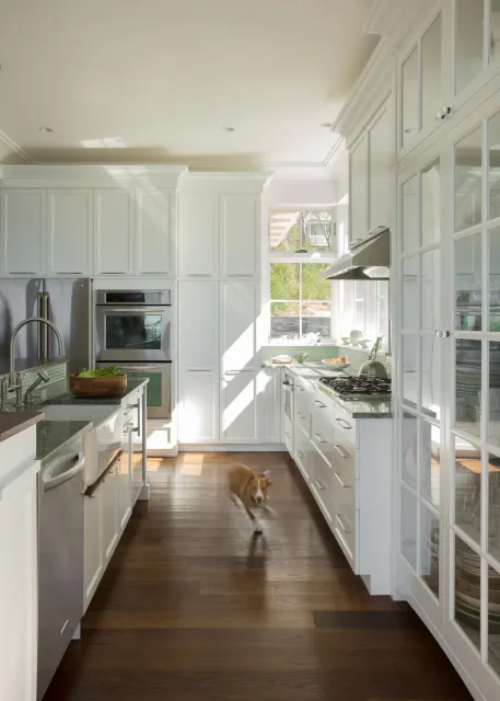 Bright white kitchen with dark wooden floors, stainless steel appliances, and a small dog running across the floor.